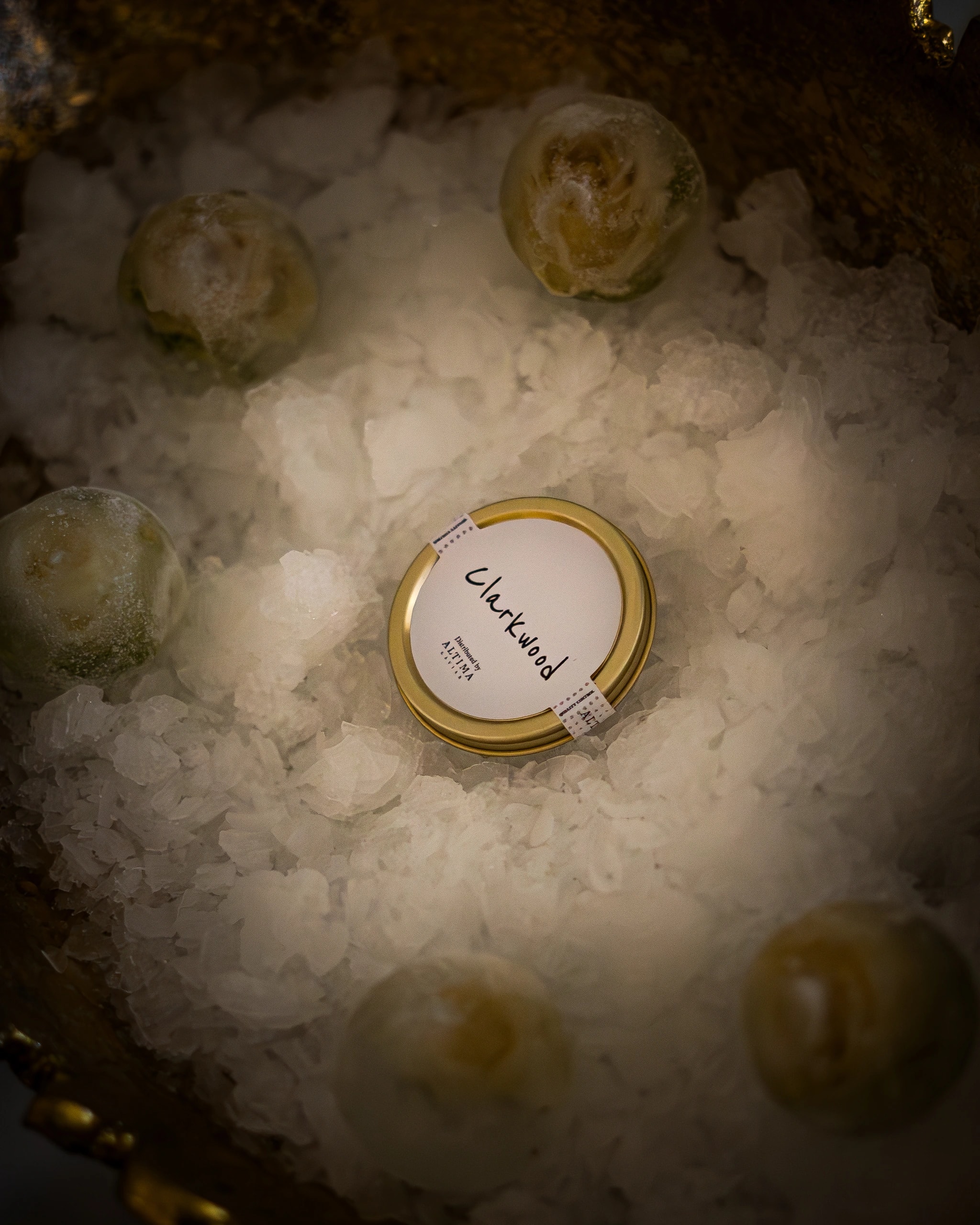 Clarkwood × Altima Caviar, Altima Caviar